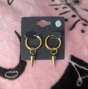 Stainless steel Earrings